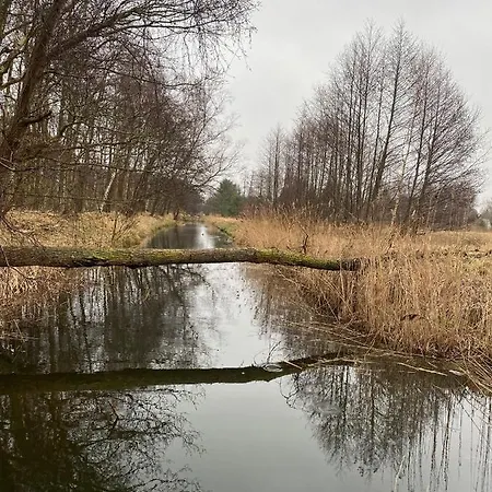 Komfortowy Domek Natura, W Poblizu Nadmorskiego Parku Krajobrazowego, 800 M Od Plazy Karwienskie Bloto Drugie Exteriér fotografie