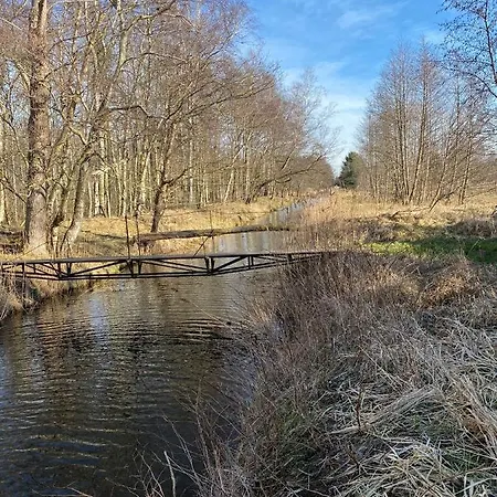 Komfortowy Domek Natura, W Poblizu Nadmorskiego Parku Krajobrazowego, 800 M Od Plazy Karwienskie Bloto Drugie Exteriér fotografie