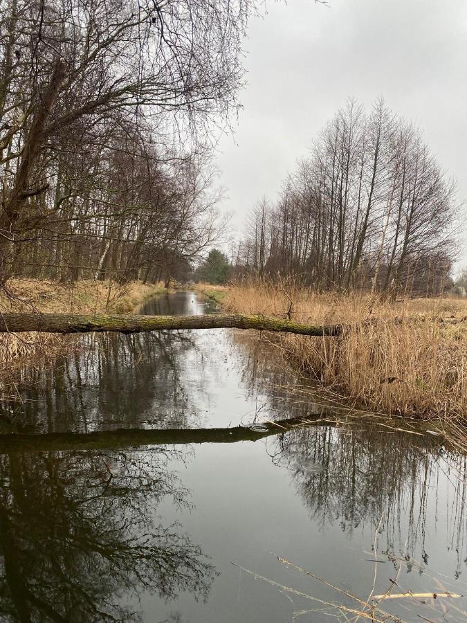 Ferienhaus Komfortowy Natura, W Poblizu Nadmorskiego Parku Krajobrazowego, 800 M Od Plazy Karwienskie Bloto Drugie