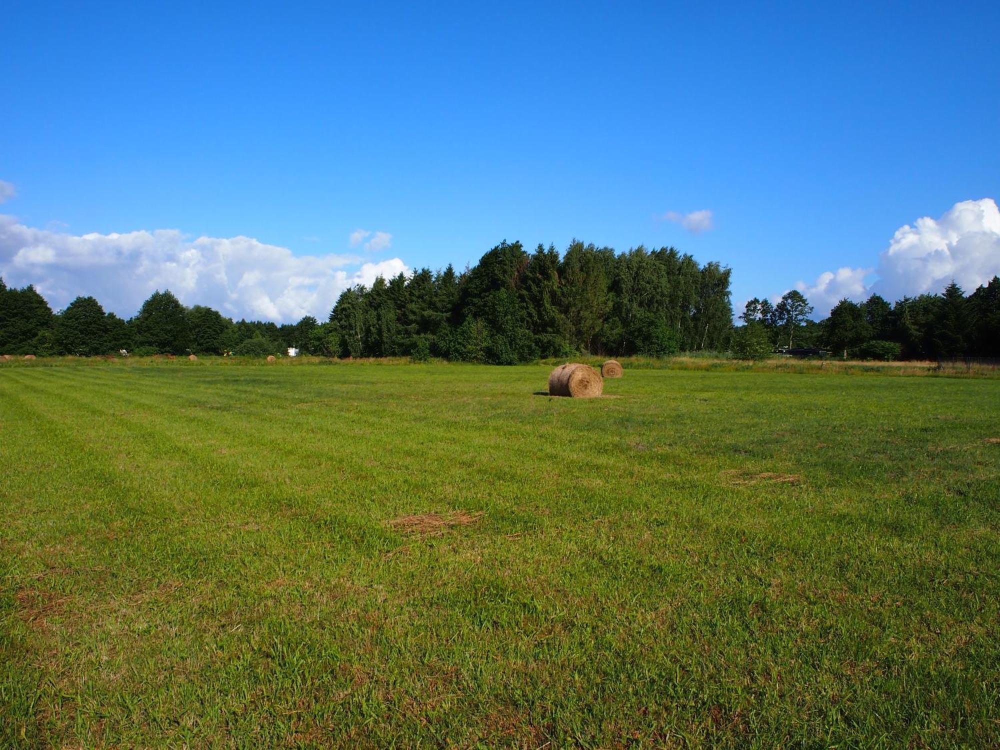 Komfortowy Natura, W Poblizu Nadmorskiego Parku Krajobrazowego, 800 M Od Plazy Karwienskie Bloto Drugie