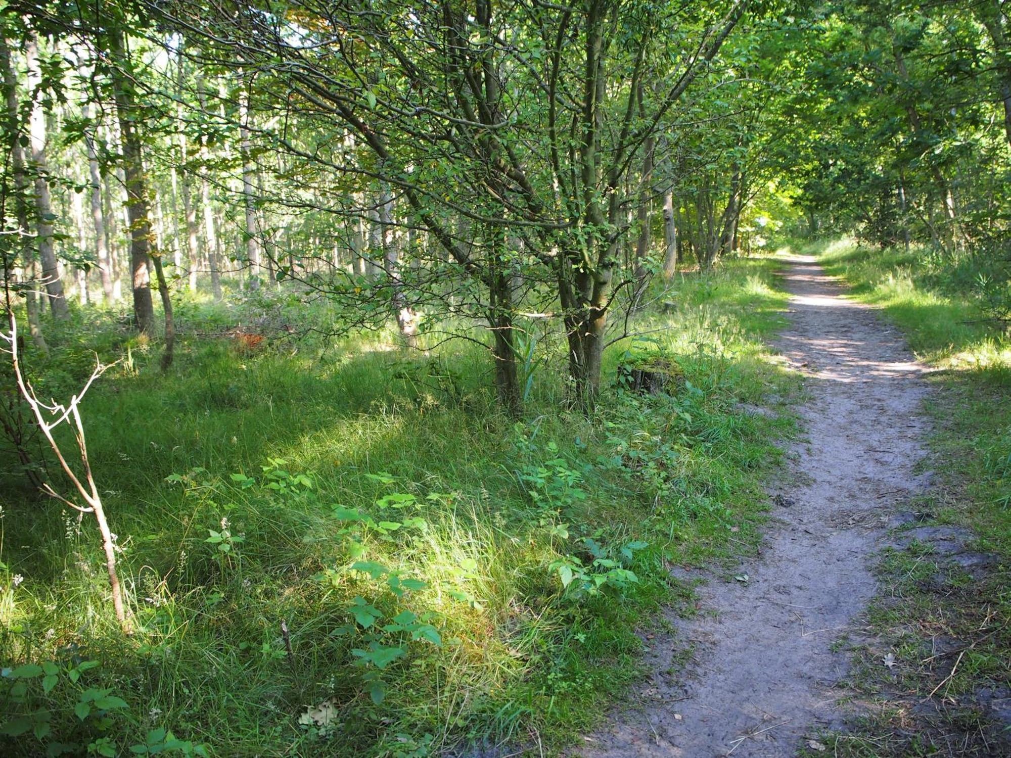 Ferienhaus Komfortowy Natura, W Poblizu Nadmorskiego Parku Krajobrazowego, 800 M Od Plazy